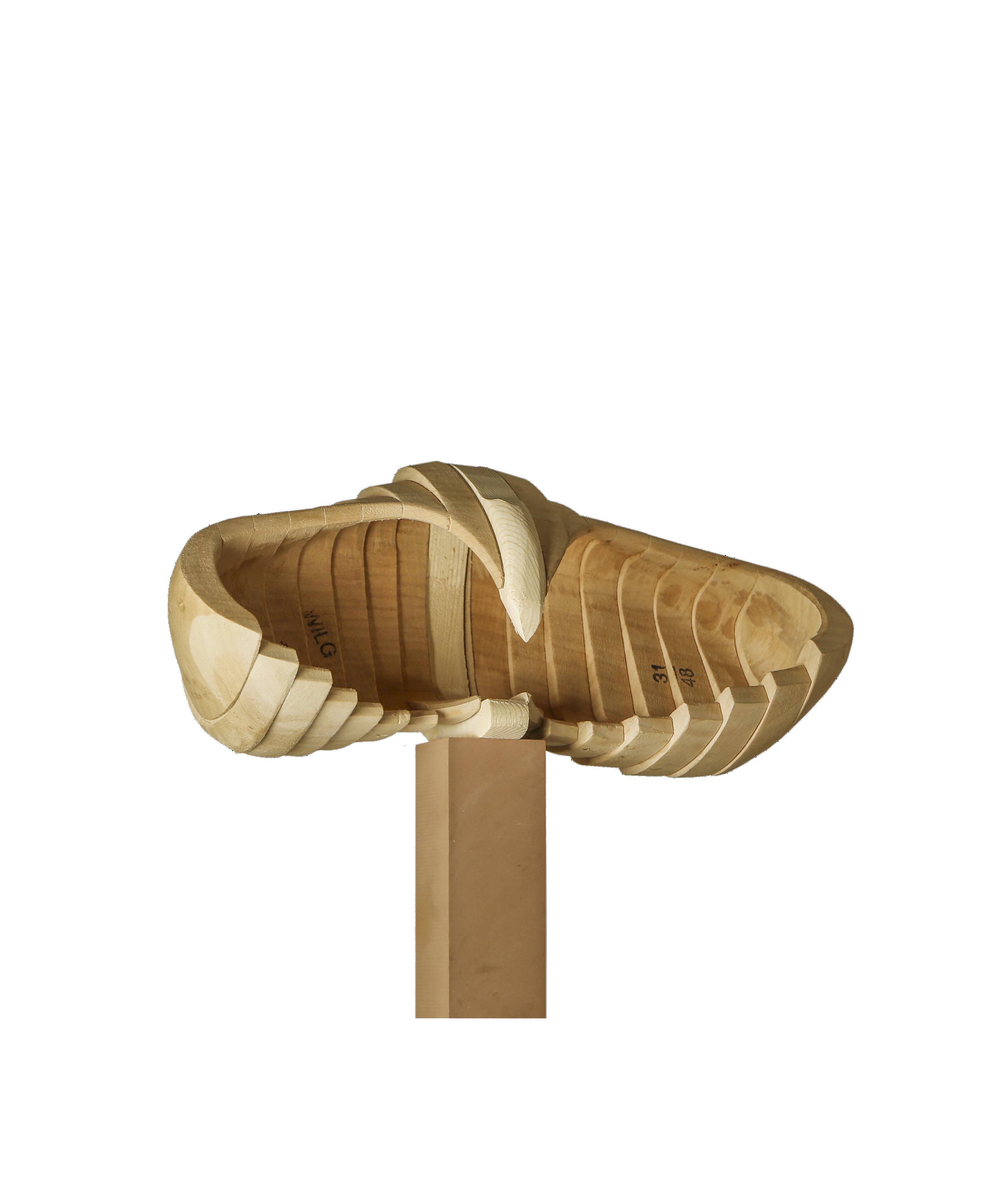 0111-1 adelaar  LR